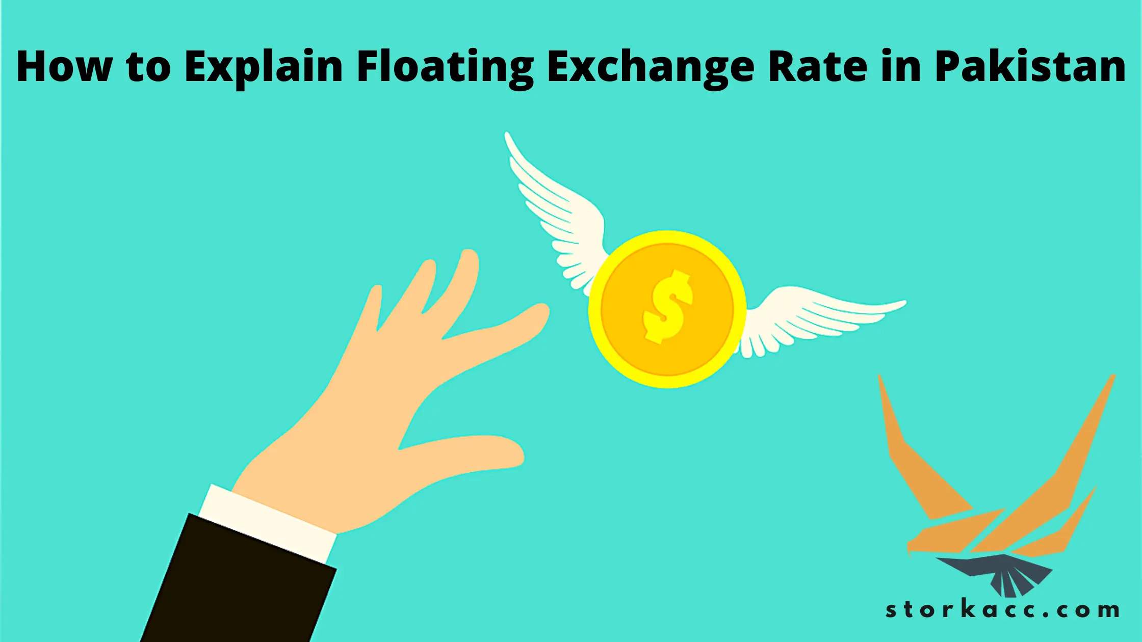 Dollar flying away to explain floating exchange rate